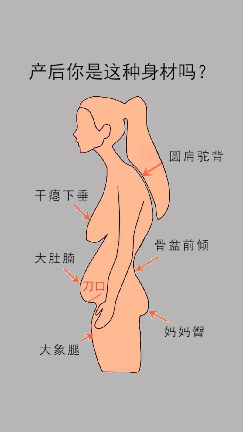 形体消瘦是指什么地方_1