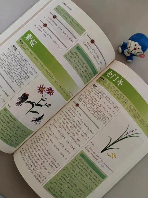 本草纲目的作者是谁_1
