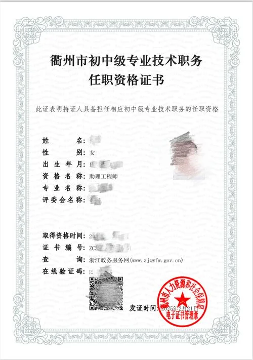 初级专业技术资格证书查询_1