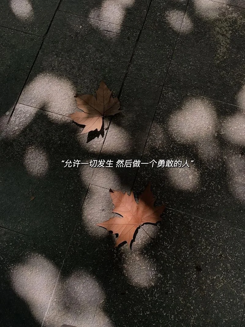 微信朋友圈说说带配图_1