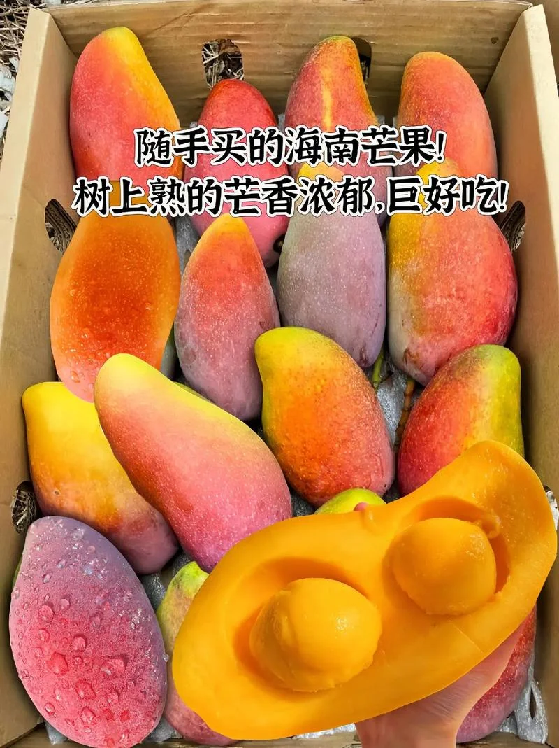 去海口买什么-海口购物指南