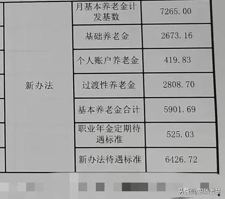 退休人员养老金资格认证2024年_1