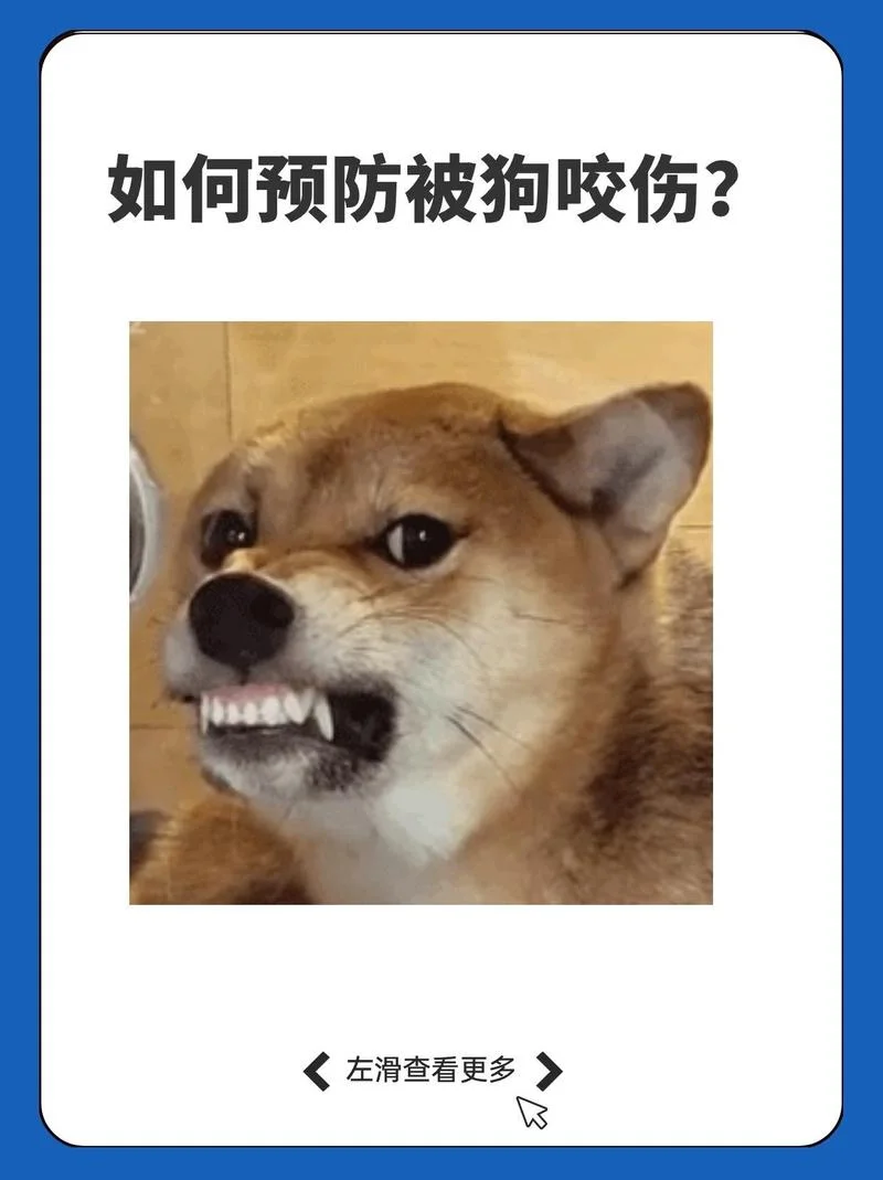 梦见被大白狗咬_2