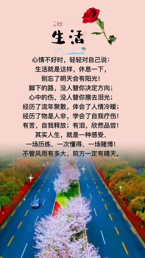 人生哲理句子人生感悟-人生感悟金句