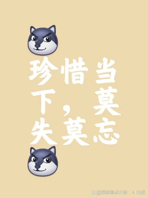 失去与得到的人生感悟_1
