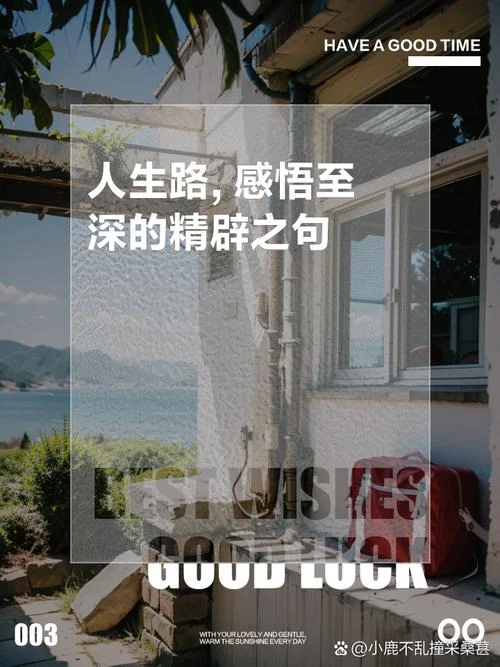 人生路感悟的句子_1