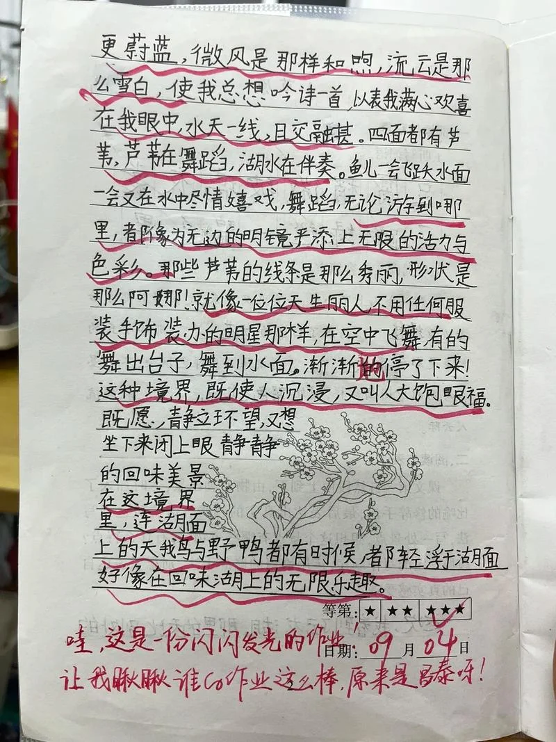 麝雉作文怎么写_1