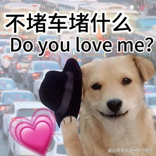 开车的说说的搞笑句子_1