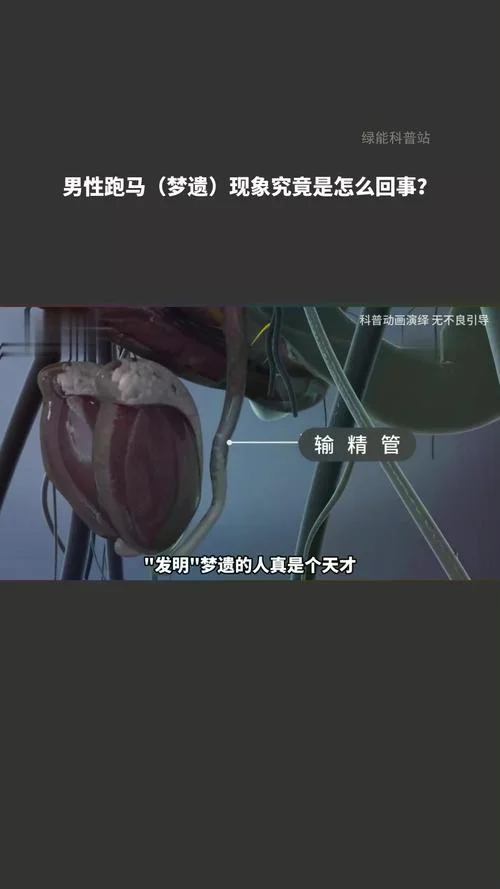 梦见早泄然后遗精_1