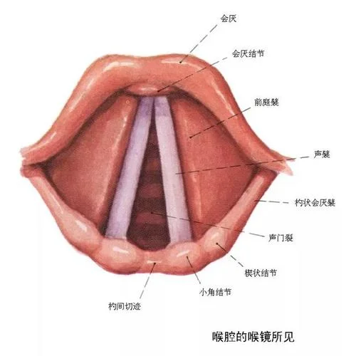 什么是共鸣腔体_1