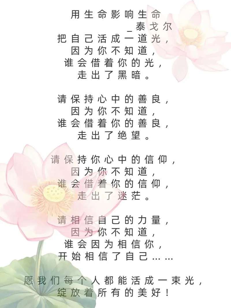 对生命的感悟名句_2