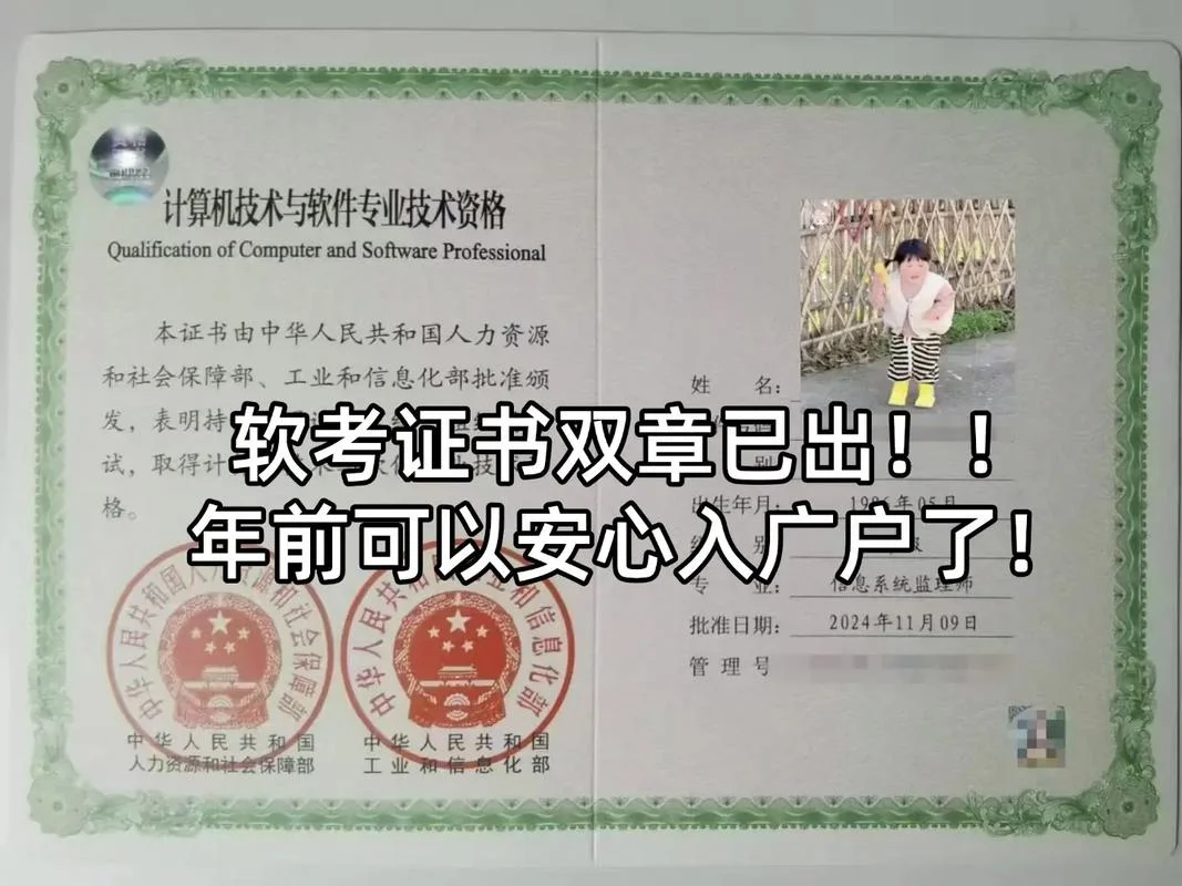 软考项目经理证书查询_1