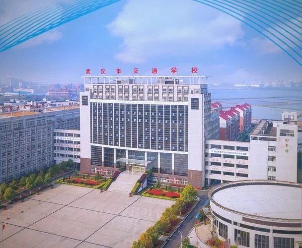 武汉职校排名前十名学校_1