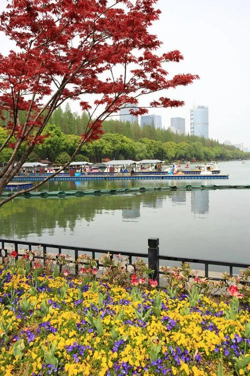 南京玄武湖有什么景点_1