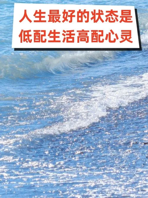 我不过低配的人生感悟_1