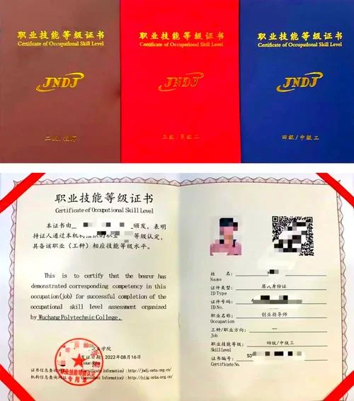创业合格证书查询-创业证查询