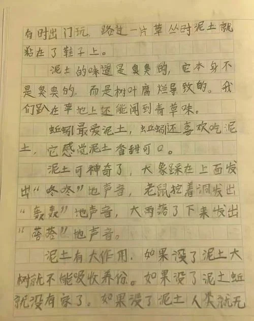 儿童自然生长教育的园本实践感悟_1