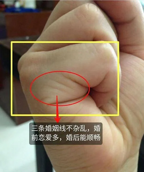 手相婚姻线三条图解_2