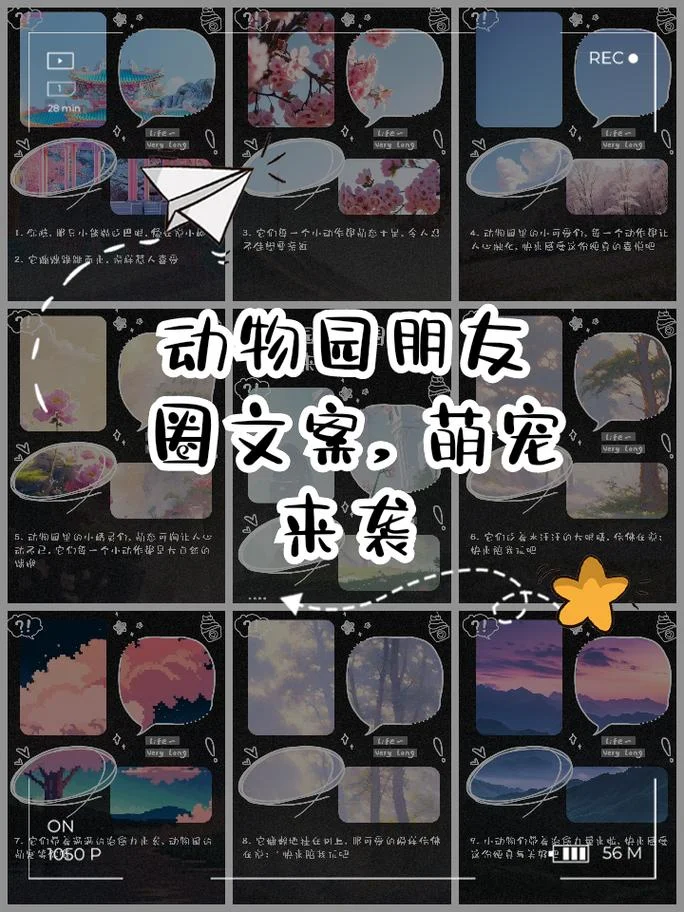 动物园一日游朋友圈怎么说-动物园打卡，快乐满分