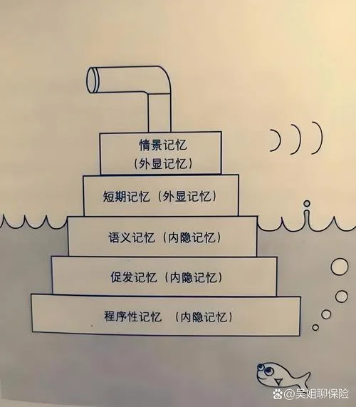 有意识记忆又叫什么_1
