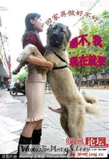 周公解梦梦见弟媳妇_2