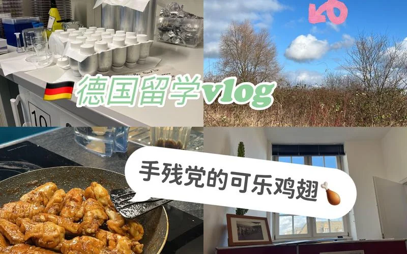 德国留学vlog的视频_1