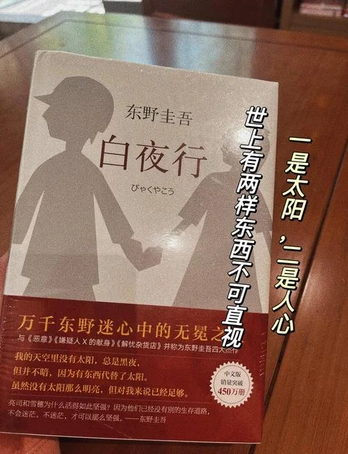 白夜行读后感2000字_1