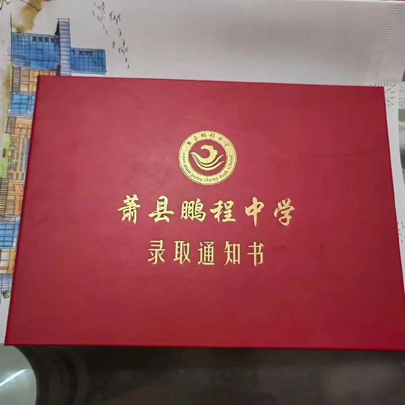 萧县鹏程中学高考成绩_1