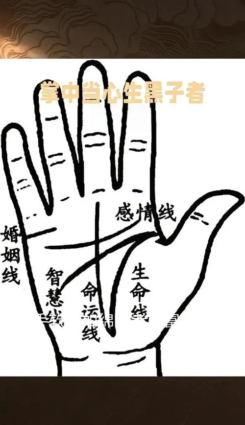 男人女字纹手相_1