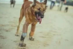 梦见腿断了但是还能走_2