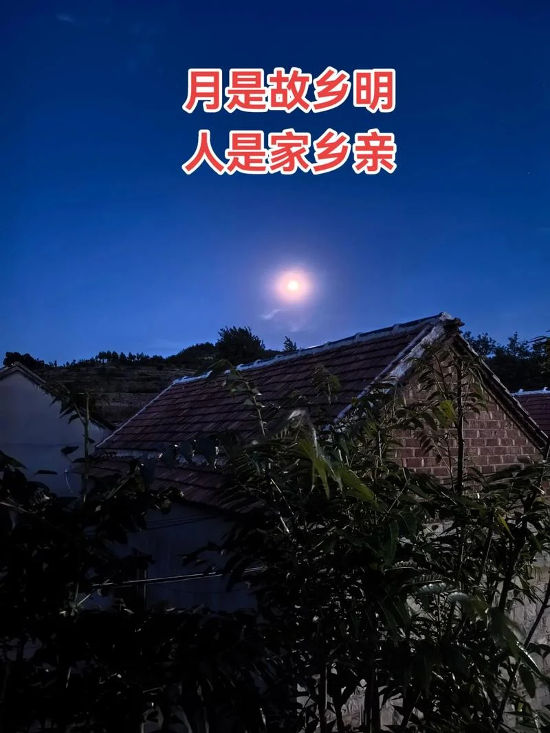 最是故乡月儿明下一句_2