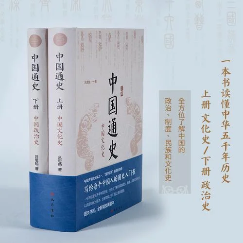 讲中国历史 书_1