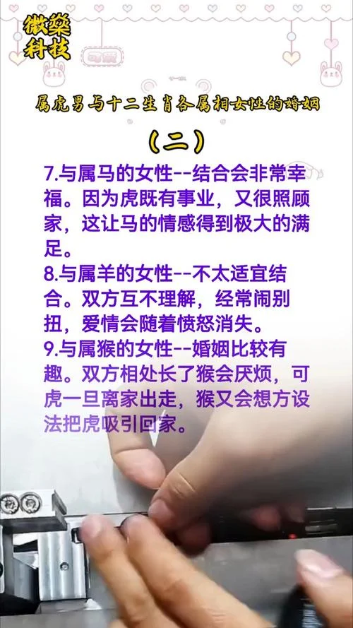 婚姻配对算命虎和鸡-运势配对虎与鸡