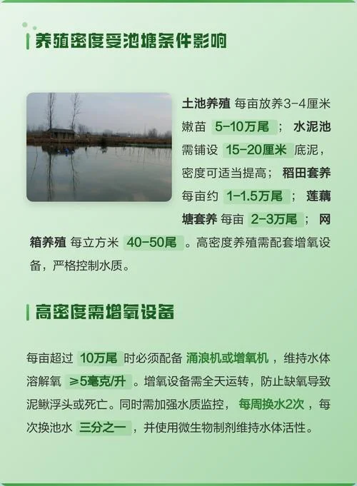 泥鳅养殖一亩地一年有多少利润_2