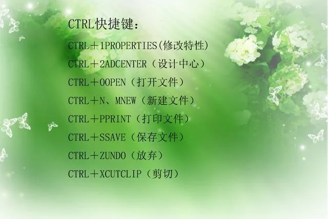 CAD绘图员四级证书查询_2