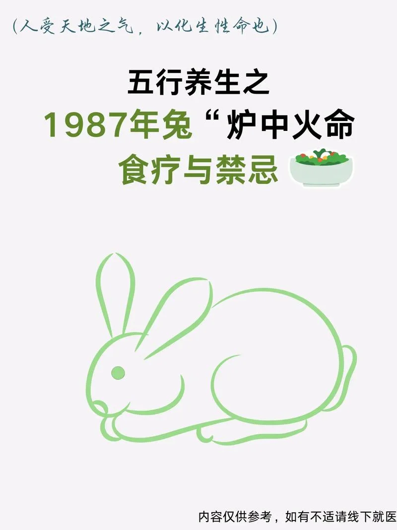 属兔87年出生是什么命-属兔 87 命