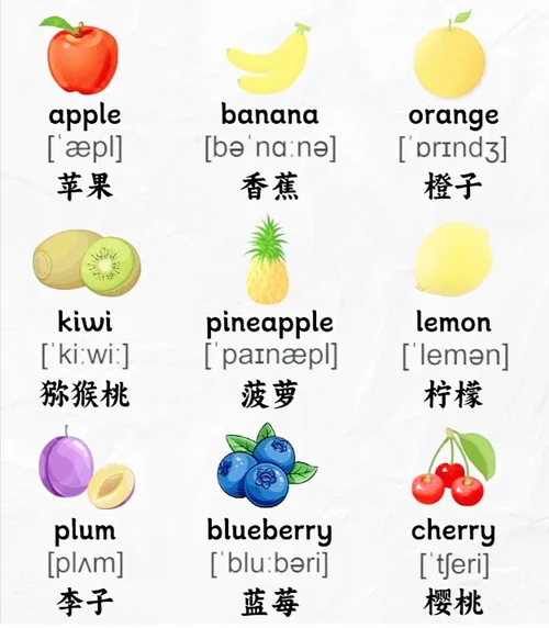 橘子的英文叫什么_1