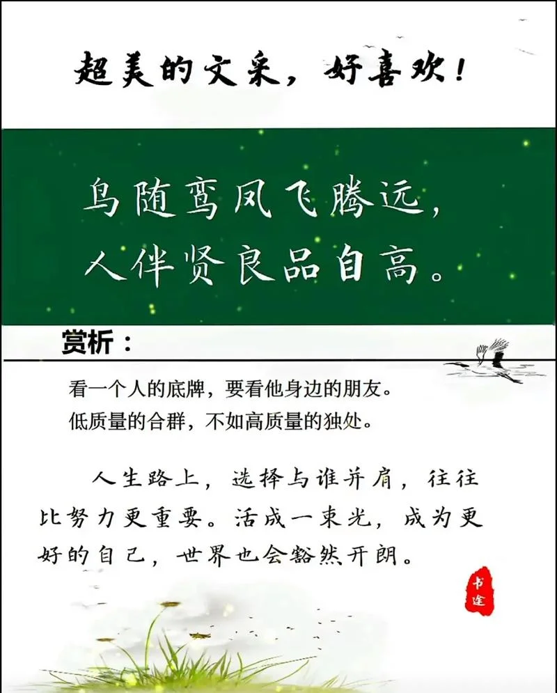 良辰语录出处_1