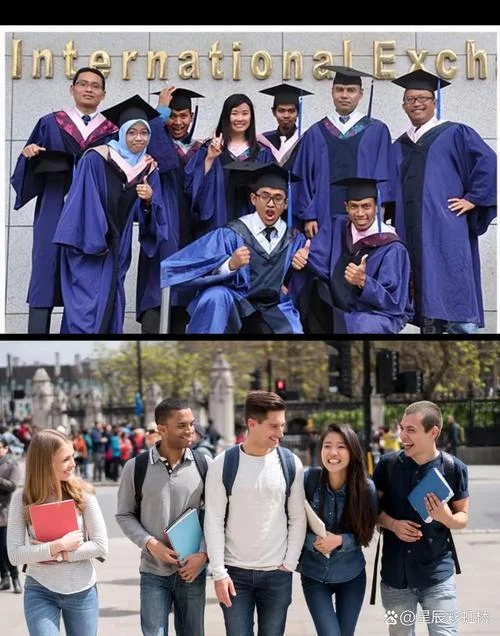 留学都是学什么的-留学学什么