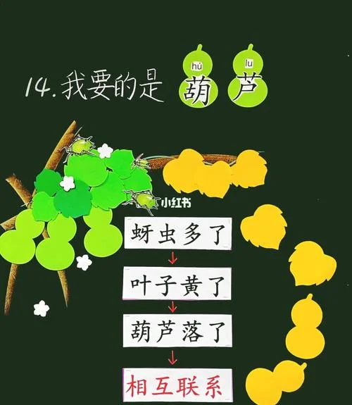 我要的是葫芦告诉我们的道理-葫芦告诉的哲理