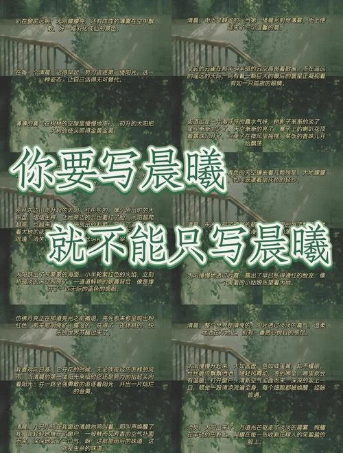 微露晨曦感悟_2