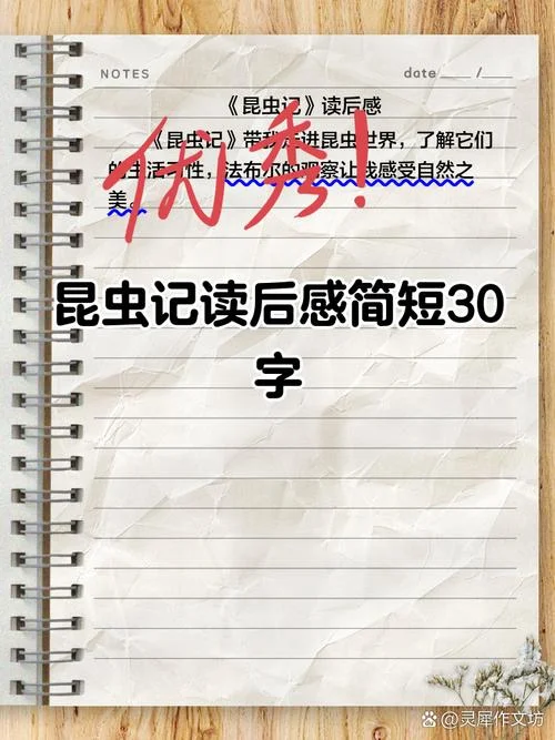读昆虫记有感三百字_2