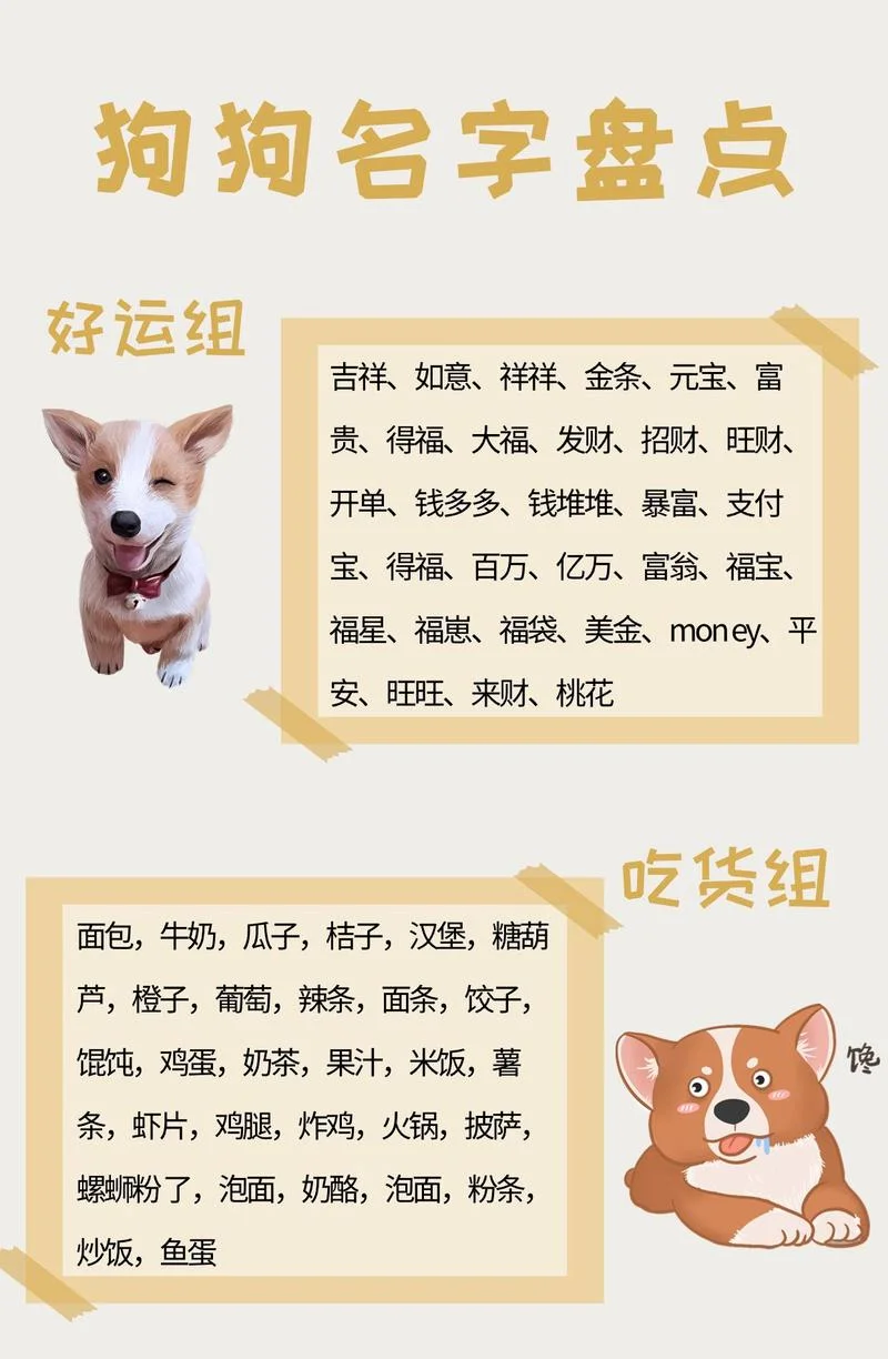 18年属狗起名_1