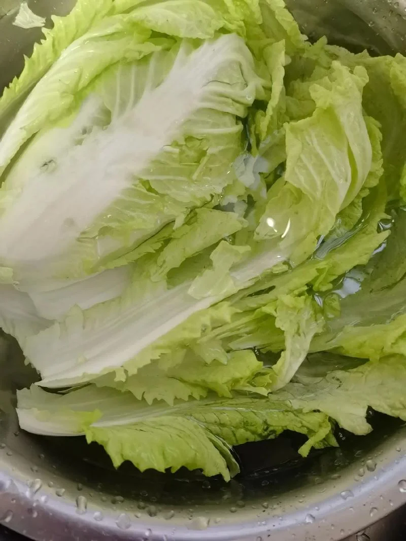 梦见吃白菜-梦见吃白菜