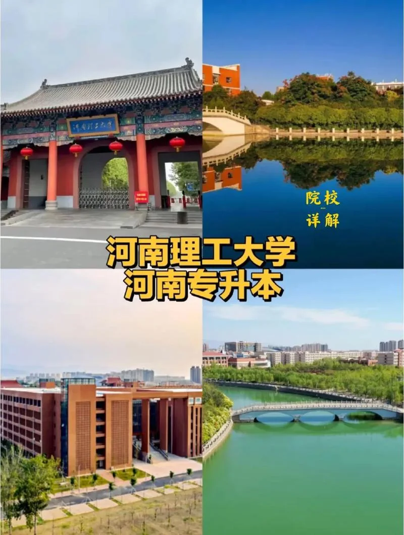 本科生报考专升本_1