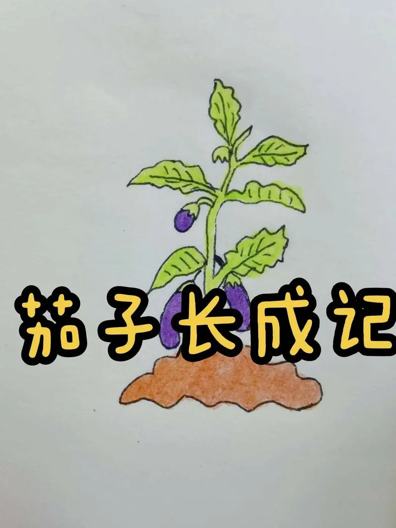 茄子儿童简笔画步骤-