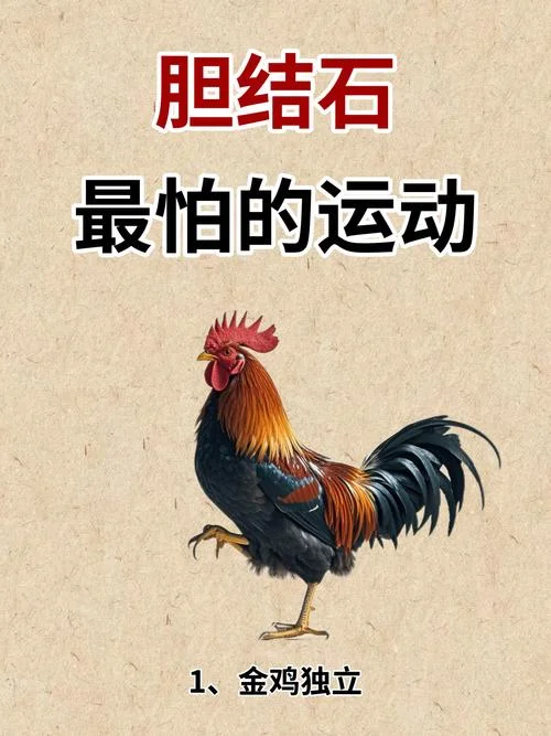 金鸡独立的意思和出处_2