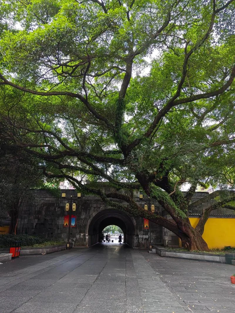桂林两天游必去景点_1