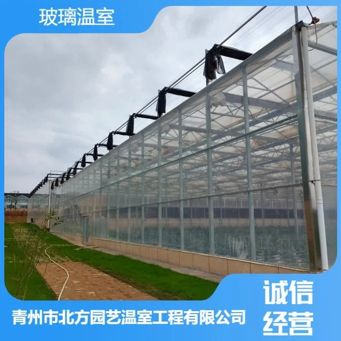 大棚温室多少钱一亩_1