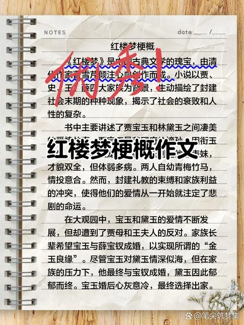 红楼梦感悟100字_1
